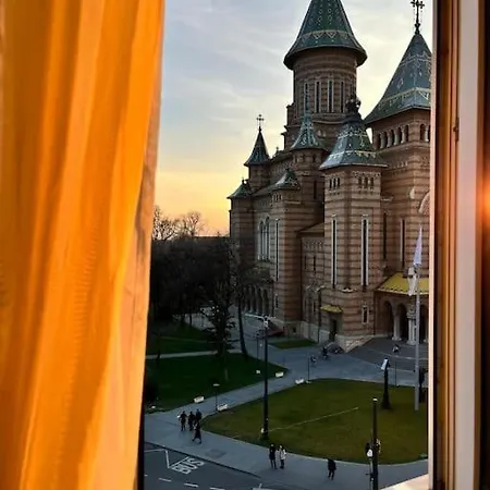 Joy Victoriei 7g-23 Timișoara