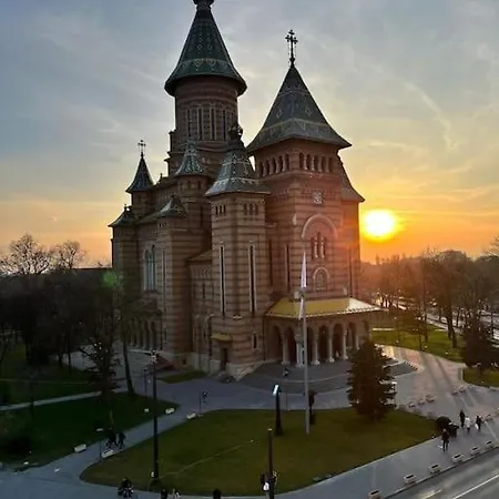 Joy Victoriei 7g-23 Timisoara
