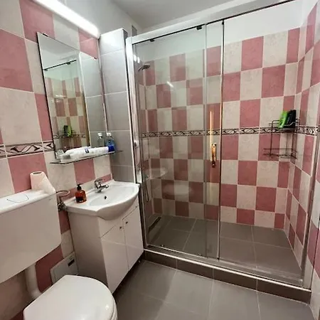 Joy Victoriei 7g-23 * Timișoara