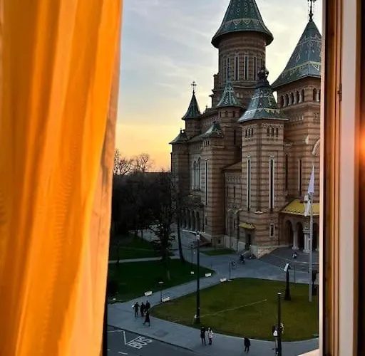 Joy Victoriei 7g-23 Timişoara