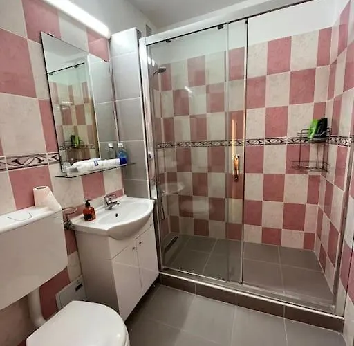 Joy Victoriei 7g-23 * Timişoara