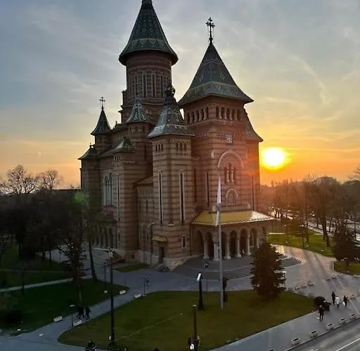 Joy Victoriei 7g-23 Timişoara